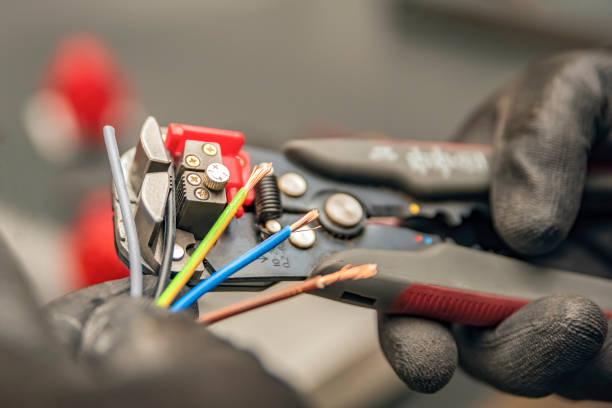 Best Electric Panel Repair  in Burton, SC