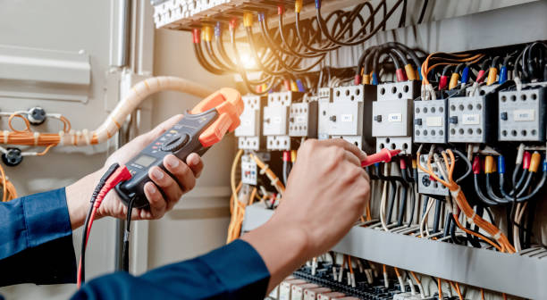 Best Electric Panel Repair  in Burton, SC