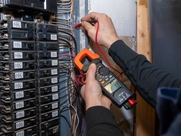 Best Local Electrician Companies  in Burton, SC